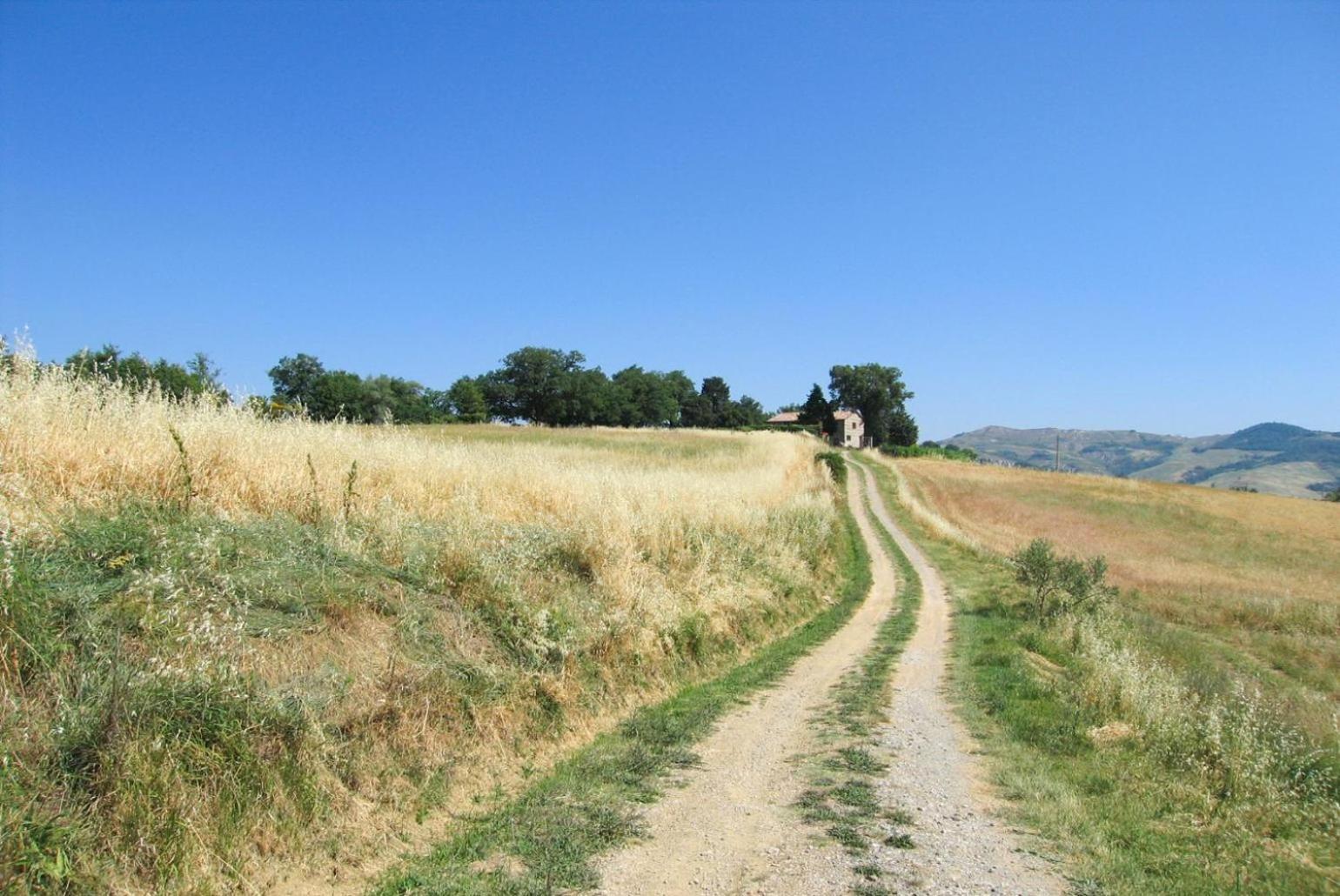 Casale Donatelli Villa Radicofani Dış mekan fotoğraf